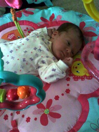 Click for large image