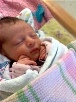 Click for large image